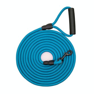 Sh36 Rock Climbing Rope Pet Leash Bold and Long Dog Training Tracking Rope, Size: 2m(10mm Light Blue)