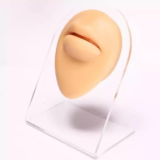 Simulation Facial Features Silicone Model Practice Display Props, Style:Mouth(Flesh Color)