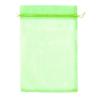 100pcs  Fruit Protection Bag Anti-insect and Anti-bird Net Bag 17 x 23cm(Green)