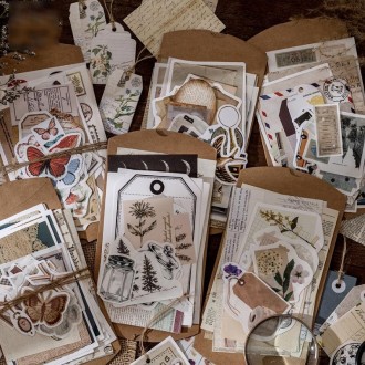 2sets 30 In 1 Vintage Collection Room Series Handbook Stickers Notes Packet(Mushroom Jungle)