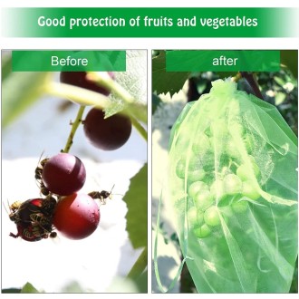 100pcs  Fruit Protection Bag Anti-insect and Anti-bird Net Bag 17 x 23cm(Gold)