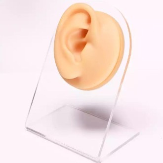 Simulation Facial Features Silicone Model Practice Display Props, Style:Right Ear(Flesh Color)