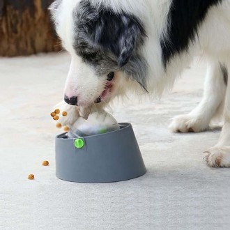 Multi-functional Card Dog Cage Licking Plate Suction Cup Dog Feeder, Specification: Bowl+Ball