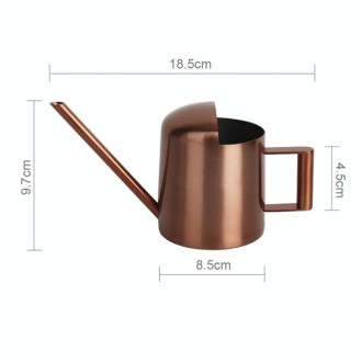 300ML Stainless Steel Watering Can with Long Spout(Black)