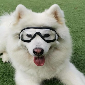 Pet Goggles Dog Transparent Glasses Waterproof Windproof Snow Goggles Dog Glasses(Transparent)