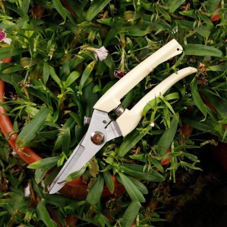 Garden Tools Stainless Steel Pruning Shears Fruit Tree Scissors Garden Branch Shears(Straight)