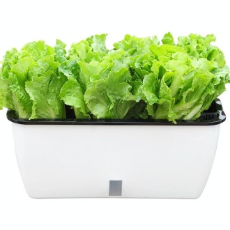 Family Balcony Rectangular Plastic Self-Absorbent Vegetable Growing Pot Flower Pot, Style: SC02 Big Pot