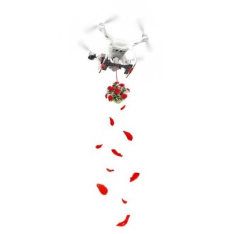 RCSTQ for DJI Phantom 4 Thrower Parabolic Air-Dropping System