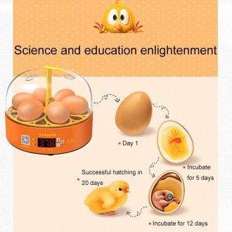 6-Eggs Small Household Experimental Children Smart Chicken Incubators, Spec: Automatic AU Plug