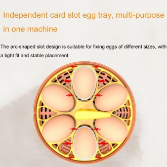 6-Eggs Small Household Experimental Children Smart Chicken Incubators, Spec: Automatic AU Plug