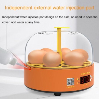 6-Eggs Small Household Experimental Children Smart Chicken Incubators, Spec: Automatic AU Plug