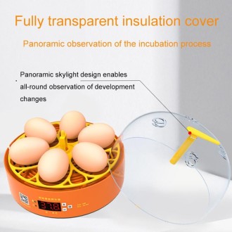 6-Eggs Small Household Experimental Children Smart Chicken Incubators, Spec: Automatic AU Plug