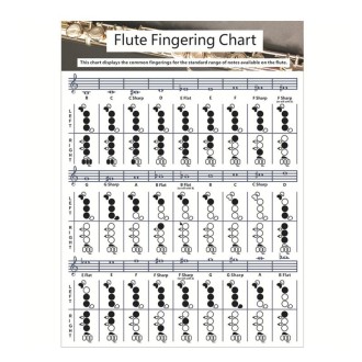 Coated Paper Flute Chord Fingering Practice Chart Staff Chord Fingering(Small)