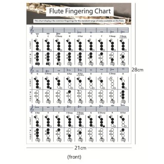 Coated Paper Flute Chord Fingering Practice Chart Staff Chord Fingering(Small)