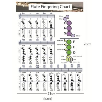 Coated Paper Flute Chord Fingering Practice Chart Staff Chord Fingering(Small)