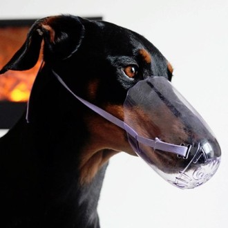 Pets Bathing Injection Anti-Bite Transparent Muzzle, Size:M