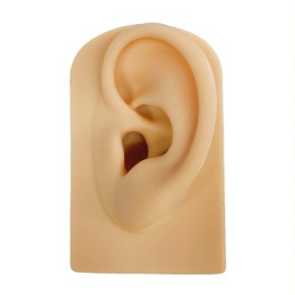 TX-S90 Simulation Ear Silicone Model Practice Display Props, Style:Left Ear(Complexion)