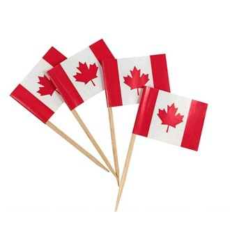 100pcs/pack 65mm National Flag Toothpick  Cupcake Toppers Cocktail Sticks, Style: Canadian 