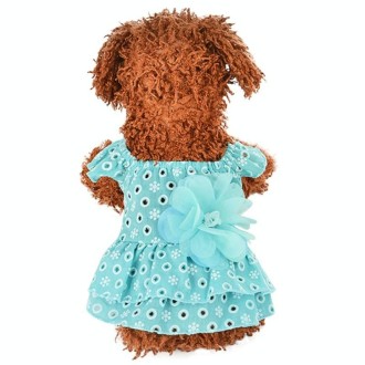 Dog Spring and Summer Thin Lace Princess Dress Small Pet Clothing, Size:S(Sky Blue)