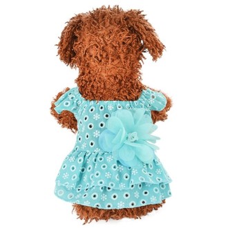 Dog Spring and Summer Thin Lace Princess Dress Small Pet Clothing, Size:M(Sky Blue)