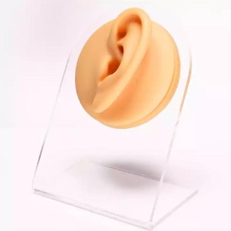 Simulation Facial Features Silicone Model Practice Display Props, Style:Left Ear(Flesh Color)