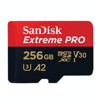 SanDisk U3 High-Speed Micro SD Card  TF Card Memory Card for GoPro Sports Camera, Drone, Monitoring 256GB(A2), Colour: Black Car