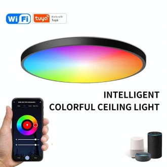 24W 30cm RGBCW Full Color Smart WiFi Tuya Ceiling Light with Remote Control