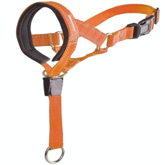 Pet Anti-Bite Leash Cover Riot Rush Pull Dog Leash, Size: S(Orange)