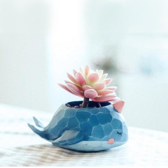 Lovely Home Garden Office Resin Cartoon Animal Whale Shaped Plant Flower Pot Decoration Animal Flower Pots Planter