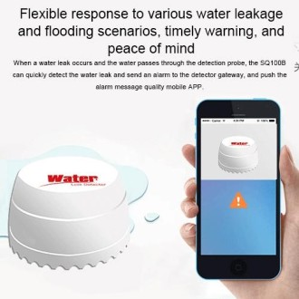 DY-SQ100B Water Leakage Detector with Two Sensors(White)