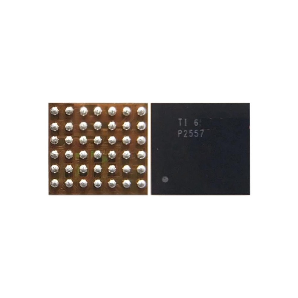 Audio IC Module P2557