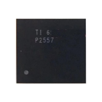 Audio IC Module P2557