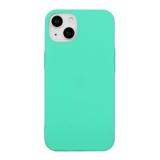 For iPhone 15 Shockproof Frosted TPU Phone Case(Mint Green)