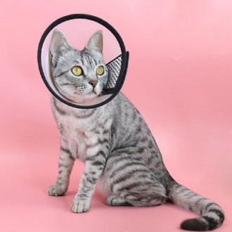 Pet Protective Headgear Cat And Dog Anti-Bite Collar After Cosmetic And Operation, Size: No.7/8cm