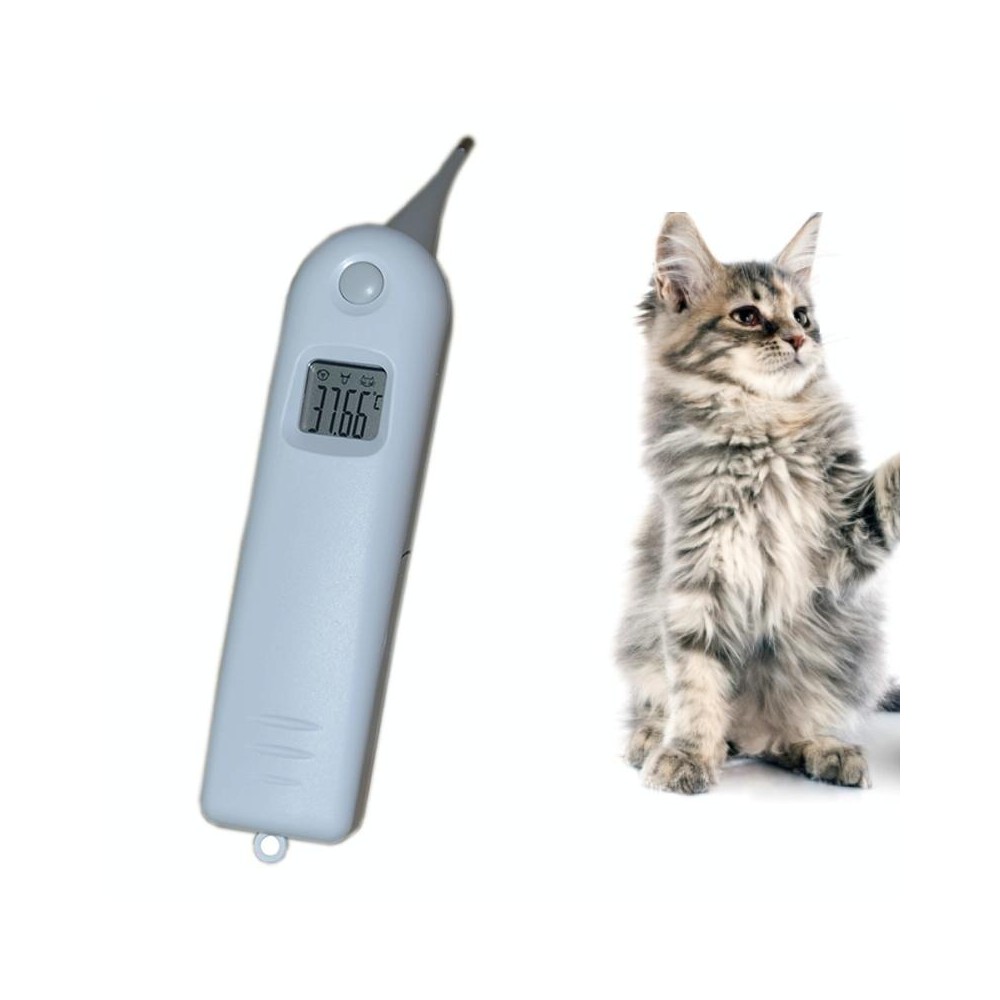 Large Screen Electronic Fast Veterinary Thermometer(As Show)