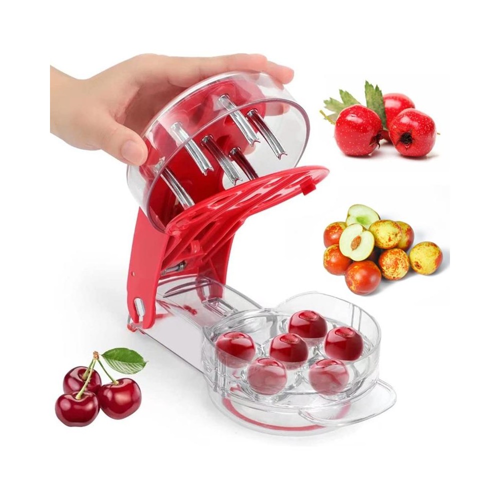 DHQ-01 Cherry Lychee Jujube 6 Holes Core Remover Kitchen Gadget