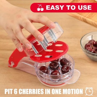 DHQ-01 Cherry Lychee Jujube 6 Holes Core Remover Kitchen Gadget