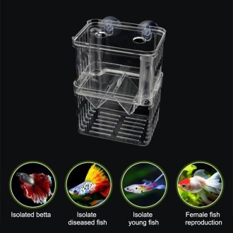 Large Peacock Fish Double Layer Transparent Breeding Isolation Box Aquarium Breeding Box