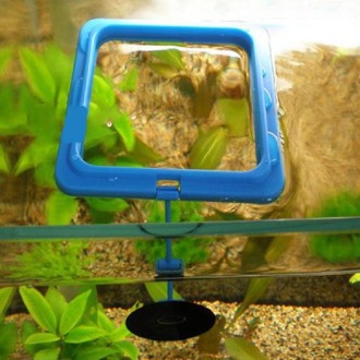 10 PCS Aquarium Fish Food Feeder, Specification: Thin Blue Square