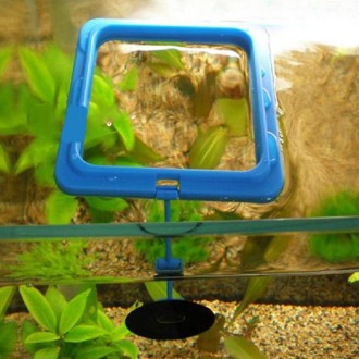 10 PCS Aquarium Fish Food Feeder, Specification: Thin Black Square