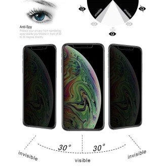 For iPhone XS Max 0.4mm 9H Surface Hardness 180 Degree Privacy Anti Glare Screen Protector