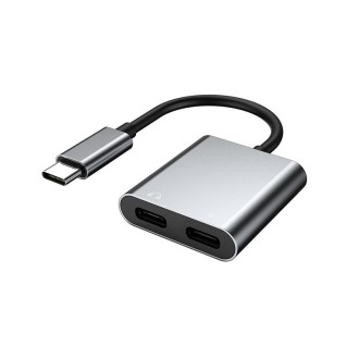 2 In 1 Type-C/USB-C PD 60W Digital Audio Adapter, Spec: 2-Type-C (Silver Gray)