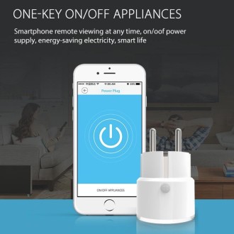 NEO NAS-WR07W 16A 2.4G WiFi France Smart Plug