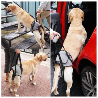 Dog Hind Leg Auxiliary Strap Decompression Auxiliary Travel Belt For Elderly and Injured Dog, Size: L