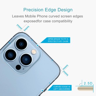 For iPhone 13 Pro 10pcs 0.26mm 9H 2.5D Tempered Glass Back Film