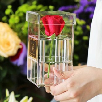 Square Transparent Acrylic Gift Box Flower Box, Specification: 1 Hole