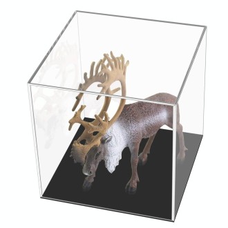 Large 24x24x24cm Clear Acrylic Camera Display Cover Plexiglass Display Case Countertop Box