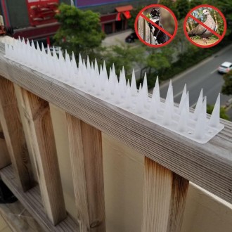 Plastic Bird Repellent Thorns Fence Anti-climb Nails(Transparent)