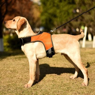 K-Shaped Luminous LED Harness for Pet Dogs without Rope, Size:L(Orange Without Lights)