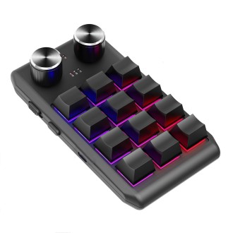 Bluetooth Wireless 12KV2 MOLD Mini Mechanical 12 Keys 2 Knob Custom Programming Keyboard(Black)